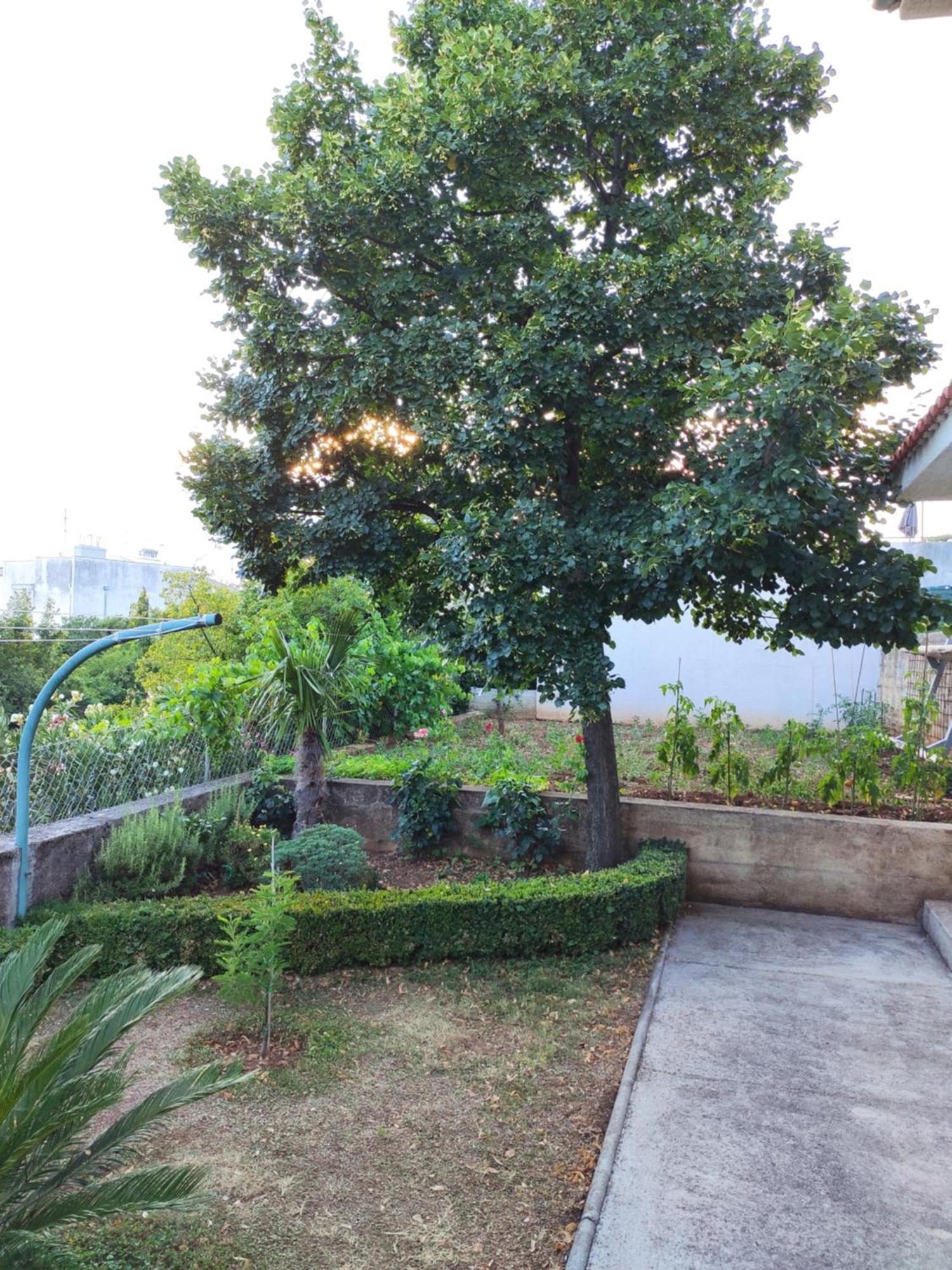 Apartment With Private Garden And The Terrace Ev Station Available ซริกเวนิซา ภายนอก รูปภาพ