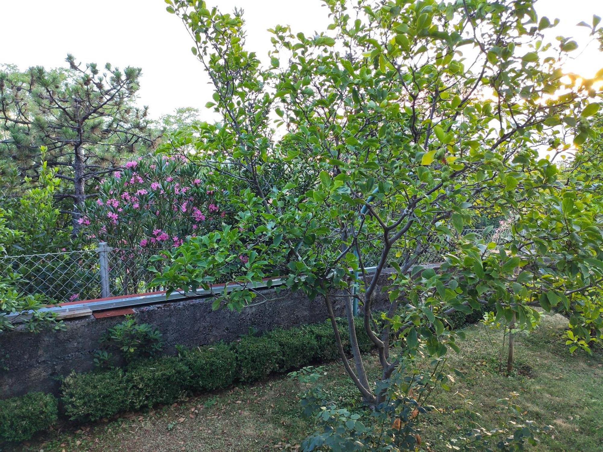 Apartment With Private Garden And The Terrace Ev Station Available ซริกเวนิซา ภายนอก รูปภาพ